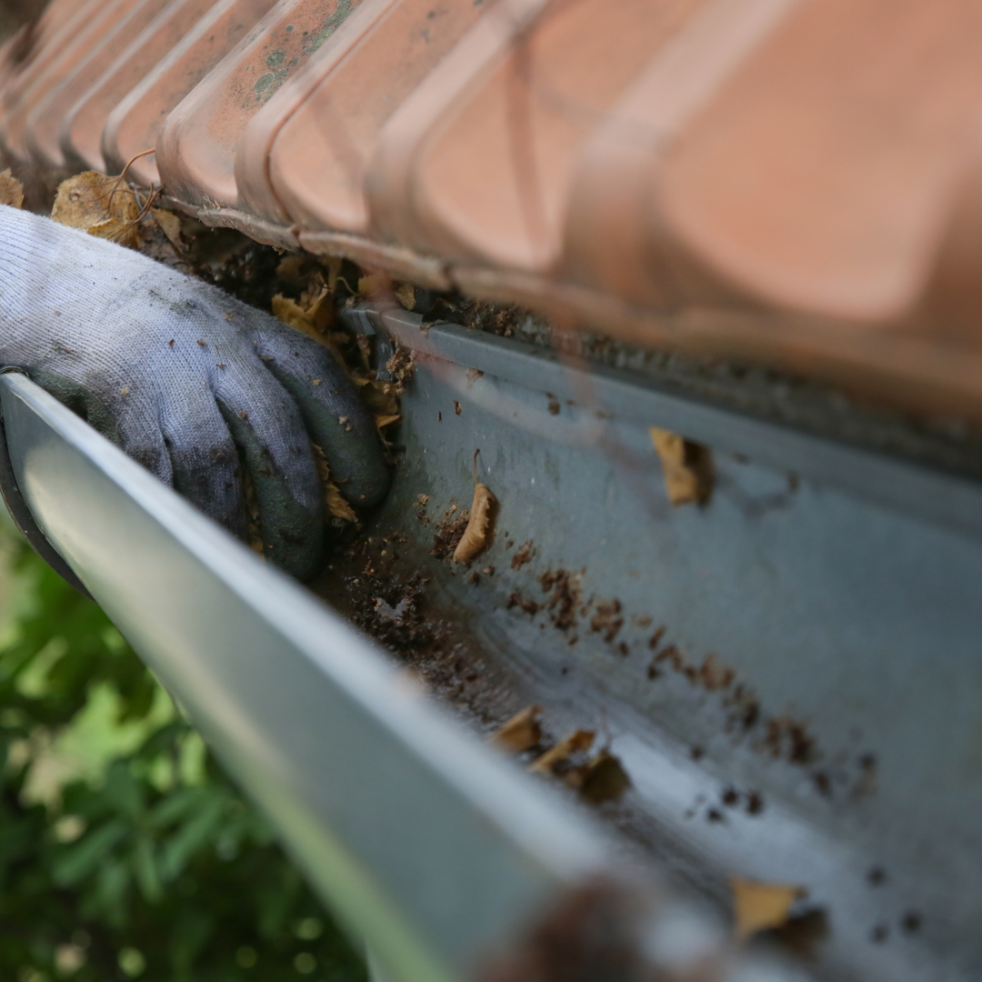 Gutter Cleaning