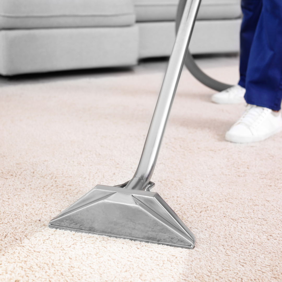 Carpet Cleaning